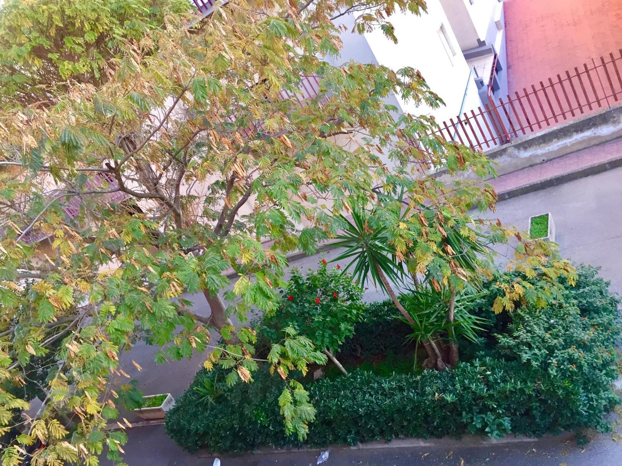 Ferienwohnung Casa Cristina Comiso Exterior foto